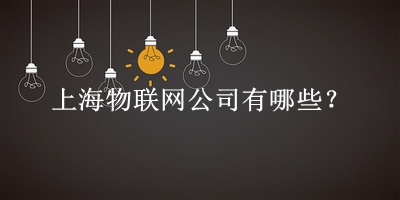 上海物聯網公司